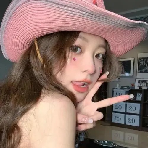 栖云伴君寡母携子入宫